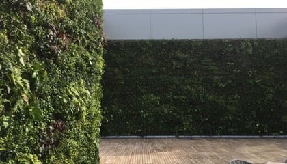 Pier 4 Rooftop Terrace